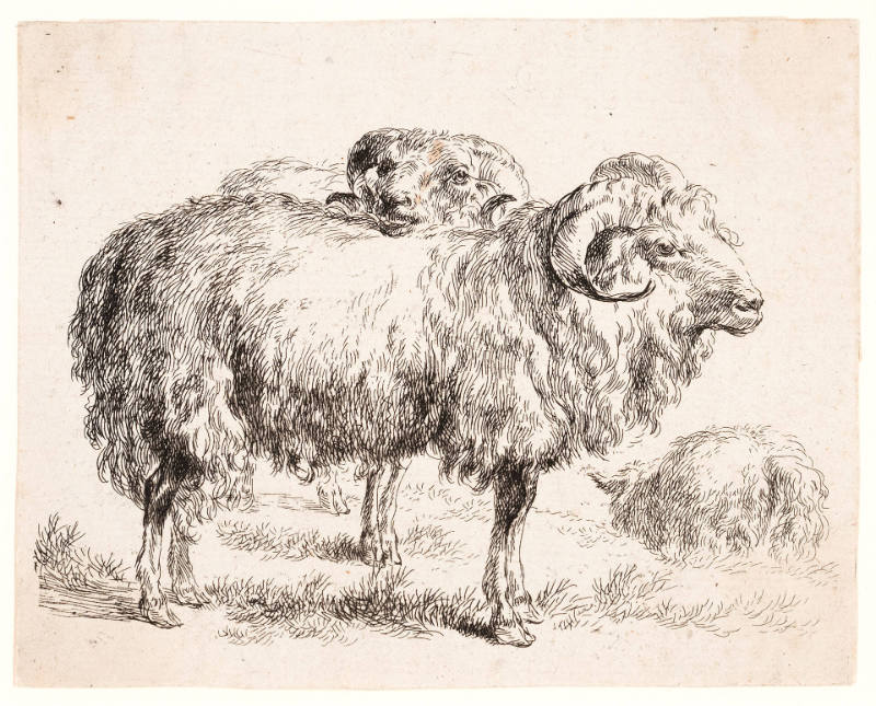 Plate from The Set of the Sheep with the Singing Shepherdess