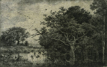 Le Marais [The Swamp]