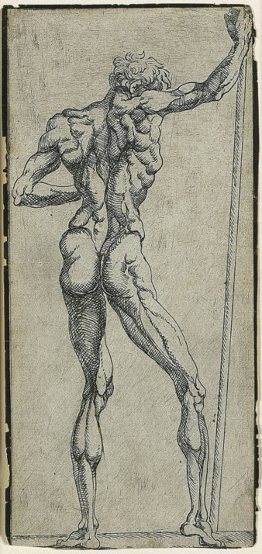 Male Nude