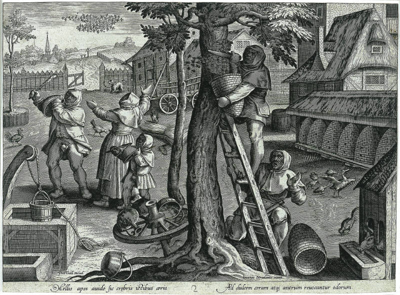 Bee Keeping, plate 37 from The Hunting Parties, after Jan van der Straet, called Stradanus