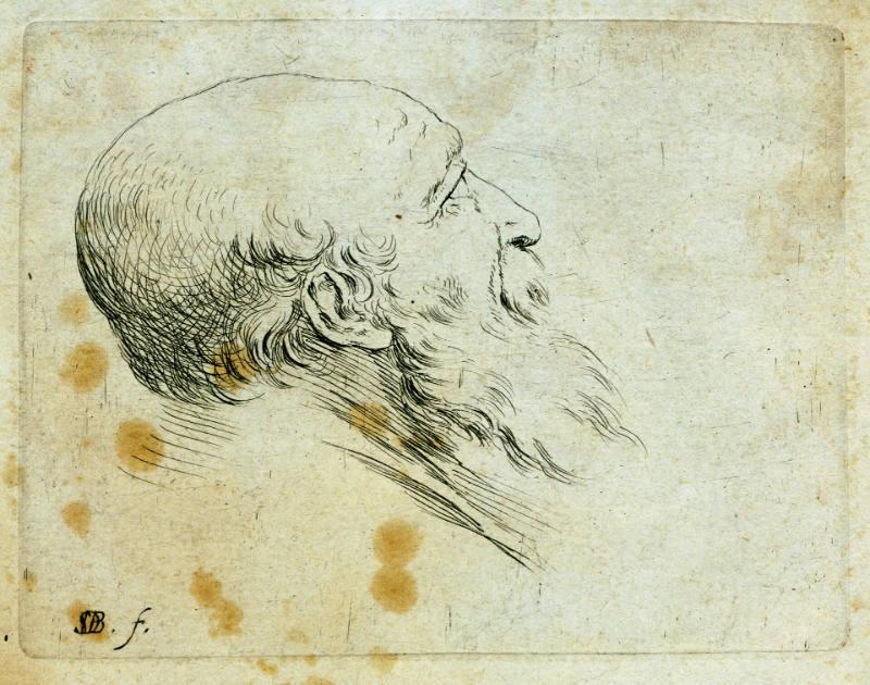 Head of a Bald, Bearded, Old Man in Profile to the Right, Looking Up, from Recueil de diverses pièces servant à l'art de portraiture [Collection of various pieces serving the art of portraiture]