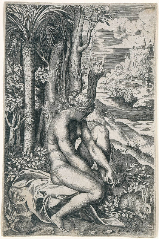 Venus Removing a Rose Thorn from Her Foot, after Raphael