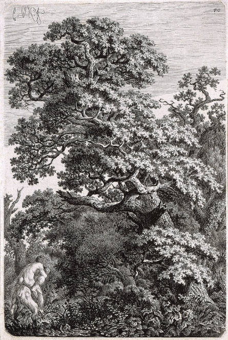 Satyr Carrying a Nymph under an Oak Tree into the Woods, Plate 40 from XLIX Blaetter Groestentheils Landschaftlichen Inhalts, erste Lieferung, c. 1795-1796