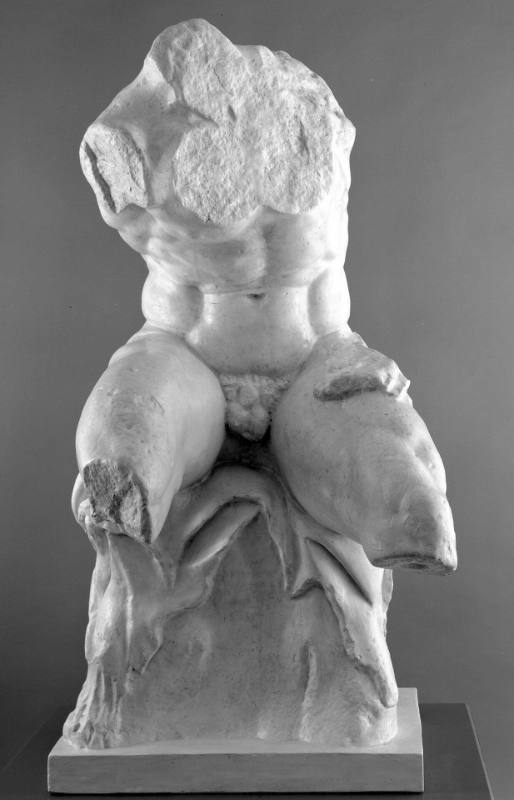 Belvedere Torso