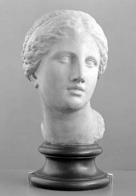 Aphrodite from Knidos (Kaufmann Head)