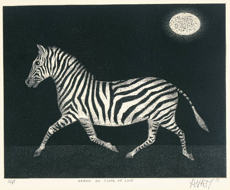 Zèbre au clair de lune [Moonlit Zebra]
