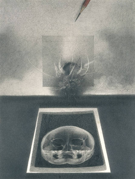 Radiografía de un Dibujo [X-Ray of a Drawing]
