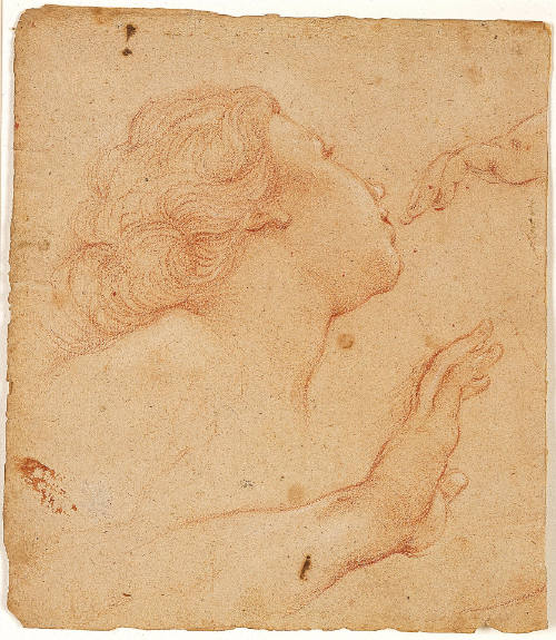 Study of the Head of a Young Woman and Hands