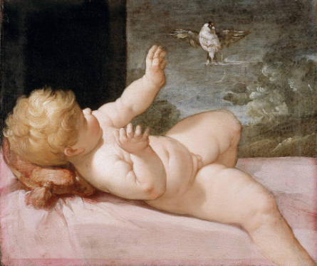Christ Child Playing with a Finch