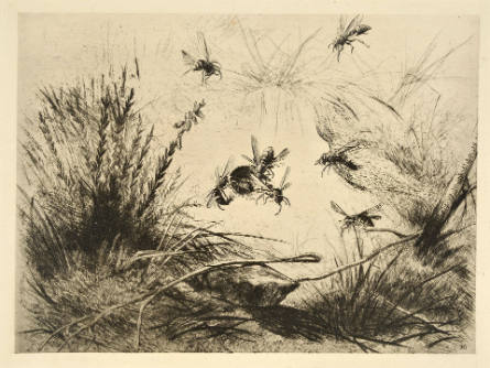 Untitled (bees)