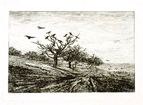 L'Arbre aux corbeaux [Tree with Ravens]