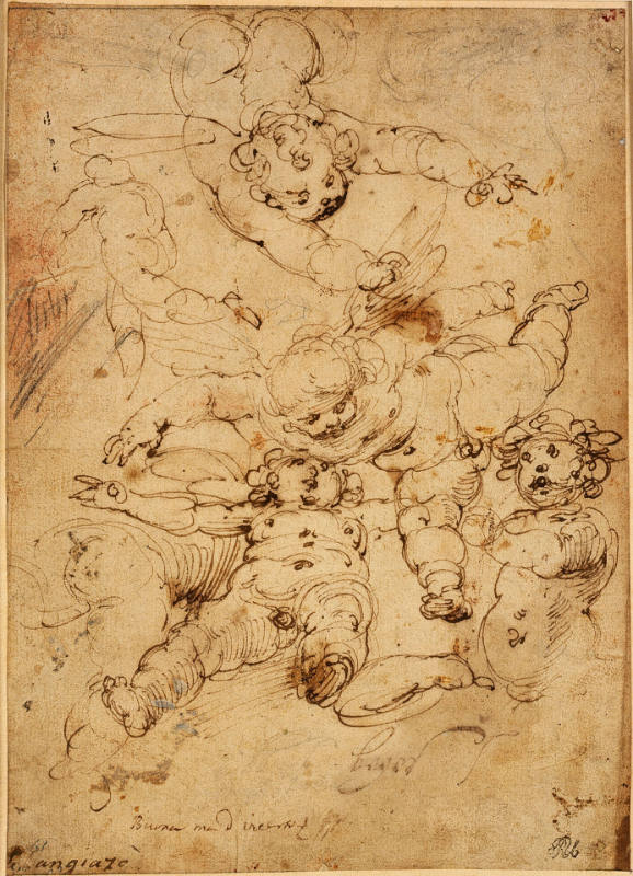 Studies of Putti in Flight