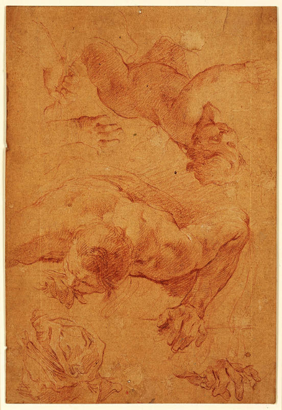 Studies of a Putto and a Nude