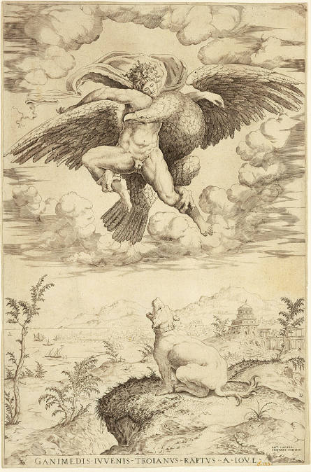 Rape of Ganymede, after Michelangelo