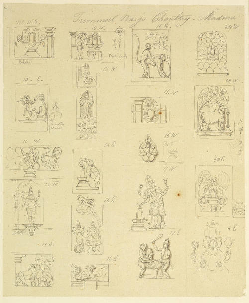 Studies of Sculpted Motifs on the Columns of Trimmul Naig's Choutry, Madura