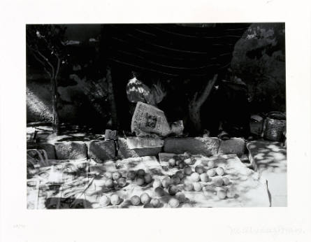 Trampa puesta [Set Trap], from Fifteen Photographs by Manuel Álvarez Bravo, 1974