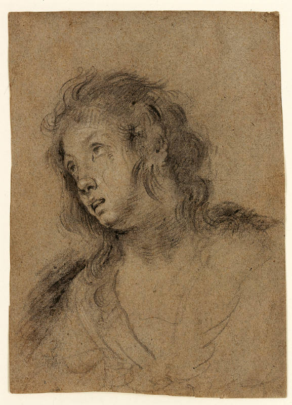 Head of a Woman