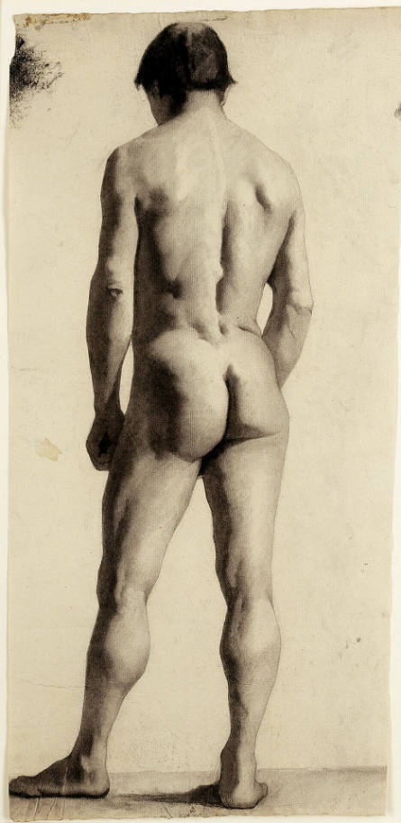 Study of a Male Nude, Seen From Behind