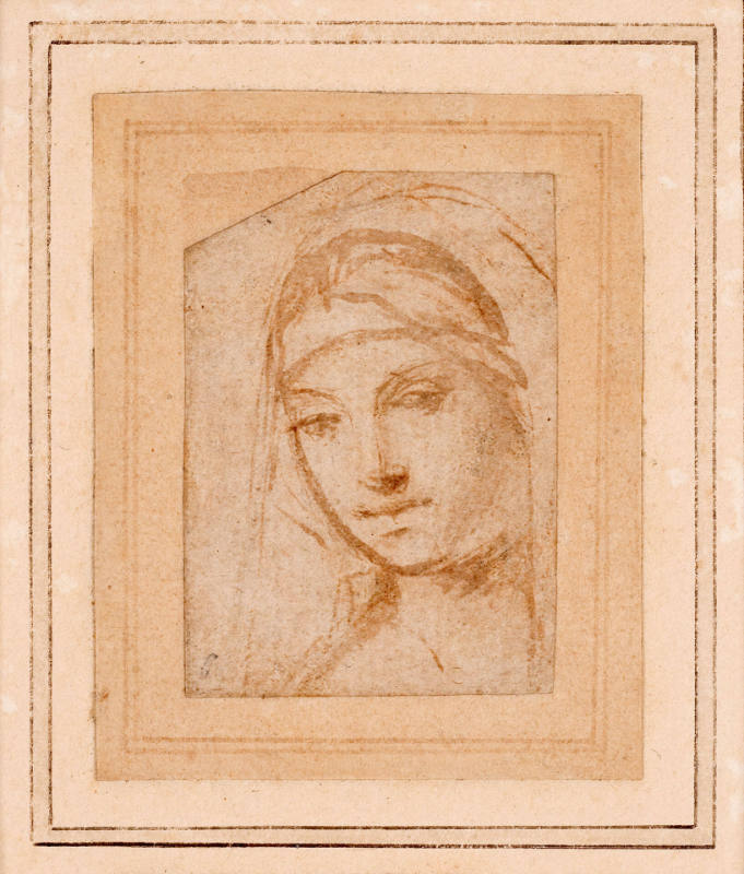 Head of the Madonna