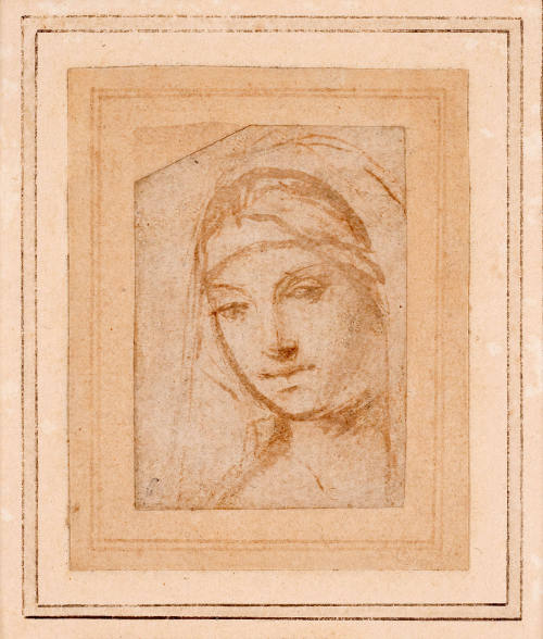 Head of the Madonna