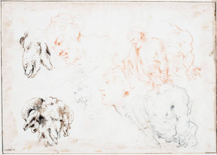 Studies of the Head of a Goat and Bacchanalian Figures