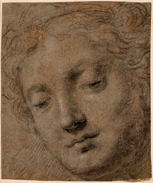 Head of a Woman