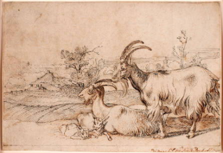 Family of Goats in a Landscape