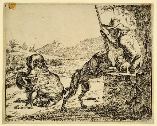 A Dog Drinking and Another Resting, plate 8 from The Set of Dogs