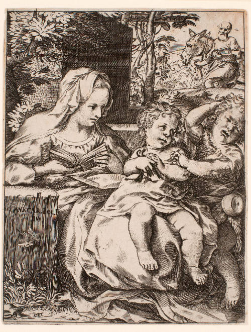 The Madonna of the Swallow (La Madonna della Rondinella)