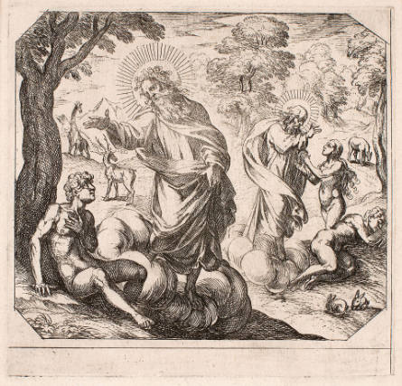 Plate from Creation