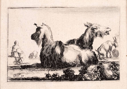 Two Goats, plate 12 from Caprice faict [sic] par de la Bella [Caprice by Della Bella]