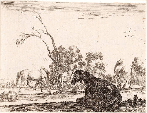 Three Horses in a Pasture, from Agréable diversité de figures [Enjoyable variety of figures]