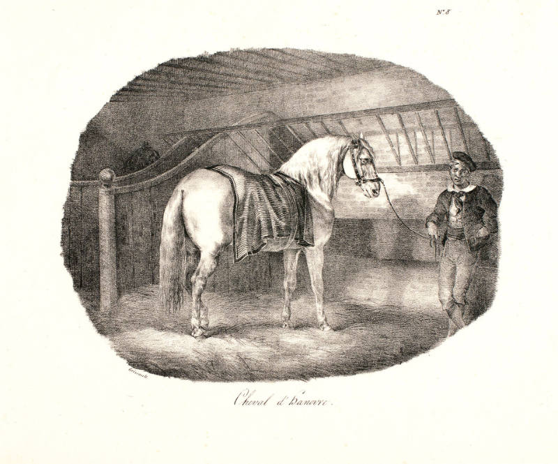 Cheval d'Hanovre [Horse from Hanover], from Etudes de chevaux d'après nature [Studies of Horses from Nature]