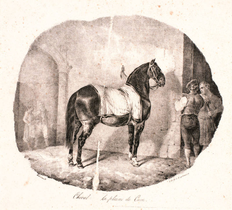 Cheval de la plaine de Caen [Horse of the Plain of Caen], from Etudes de chevaux d'après nature [Studies of Horses from Nature]