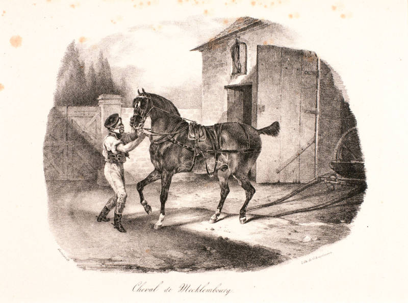 Cheval de Mecklembourg [Horse of Mecklembourg], from Etudes de chevaux d'après nature [Studies of Horses from Nature]