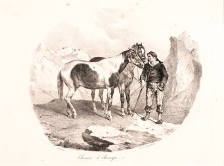 Chevaux d'Auvergne [Horses of Auvergne], from Etudes de chevaux d'après nature [Studies of Horses from Nature]