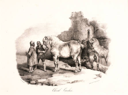 Cheval cauchois [Horse of Pays de Caux], from Etudes de chevaux d'après nature [Studies of Horses from Nature]