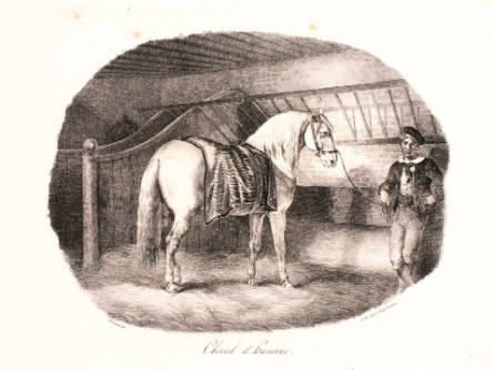 Cheval d'Hanovre [Horse from Hanover], from Etudes de chevaux d'après nature [Studies of Horses from Nature]