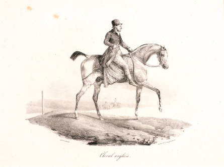 Cheval anglais [English Horse], from Etudes de chevaux d'après nature [Studies of Horses from Nature]