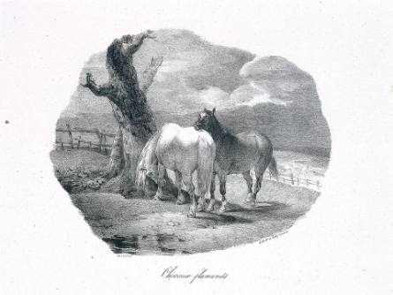 Chevaux flamands [Flemish Horses], from Etudes de chevaux d'après nature [Studies of Horses from Nature]