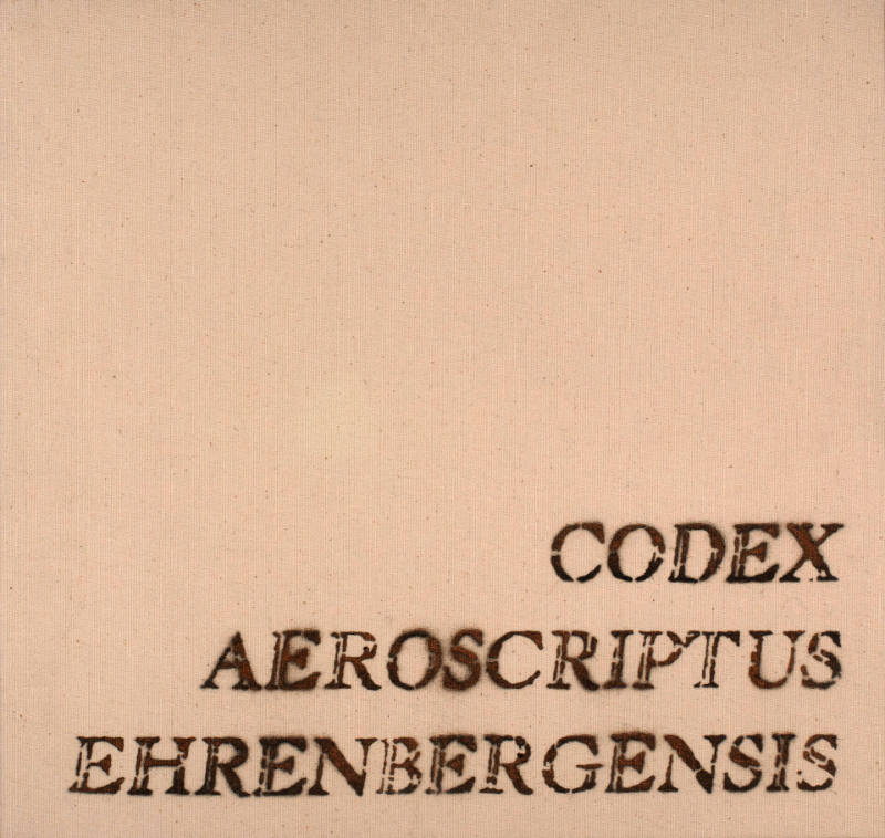 Codex Aeroscriptus Ehrenbergensis: A Visual Score of Iconotropisms