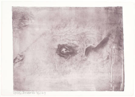 Unit (Buffalo), from the Stoned Moon Series