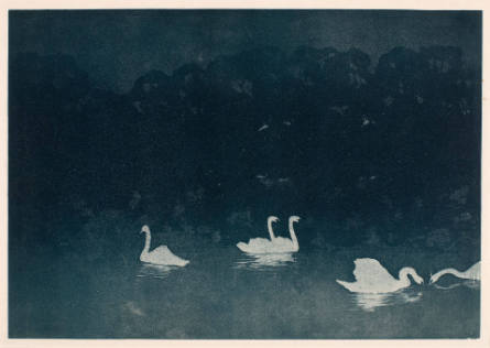 Les Cygnes [The Swans], from L'Estampe moderne [The Modern Print]