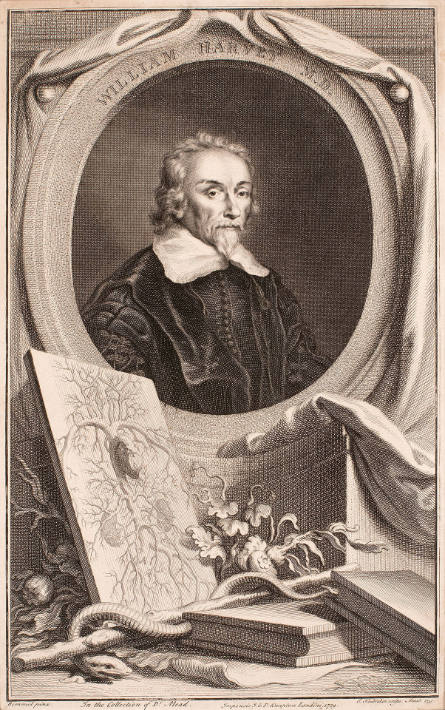 William Harvey, after Bemmel, from Thomas Birch's The Heads of Illustrious Persons of Great Britain