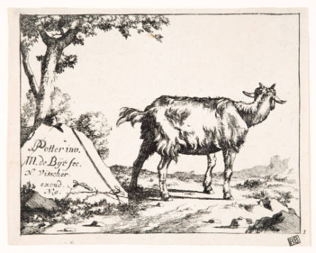 Goats, plate 1, after Paulus Potter