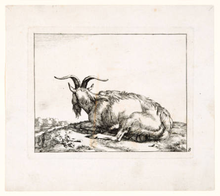 Goats, plate 8, after Paulus Potter