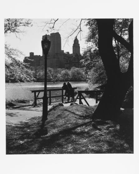 Couple on Bridge in Central Park