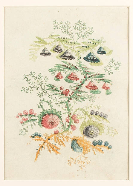 Fantastic Flowers with Conical and Hemispherical Blossoms and Berries (Cat. XXVI no. 53)