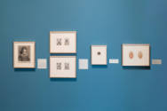 Installation view of "Fantastically French! Design and Architecture in 16th- to 18th-Century Pr…