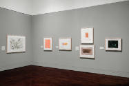 Installation view of "Without Limits: Helen Frankenthaler, Abstraction, and the Language of Pri…